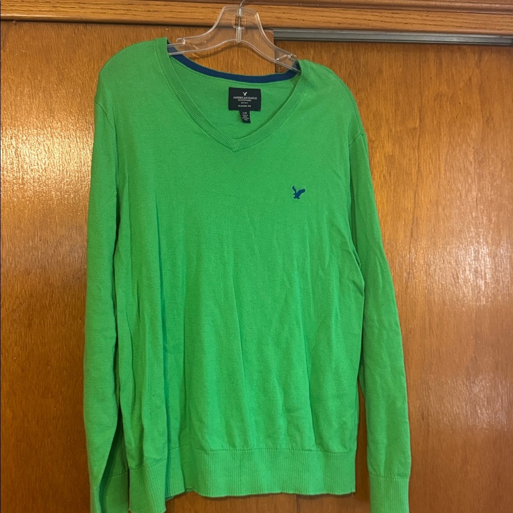 American Eagle Outfitters Green V-Neck Sweater